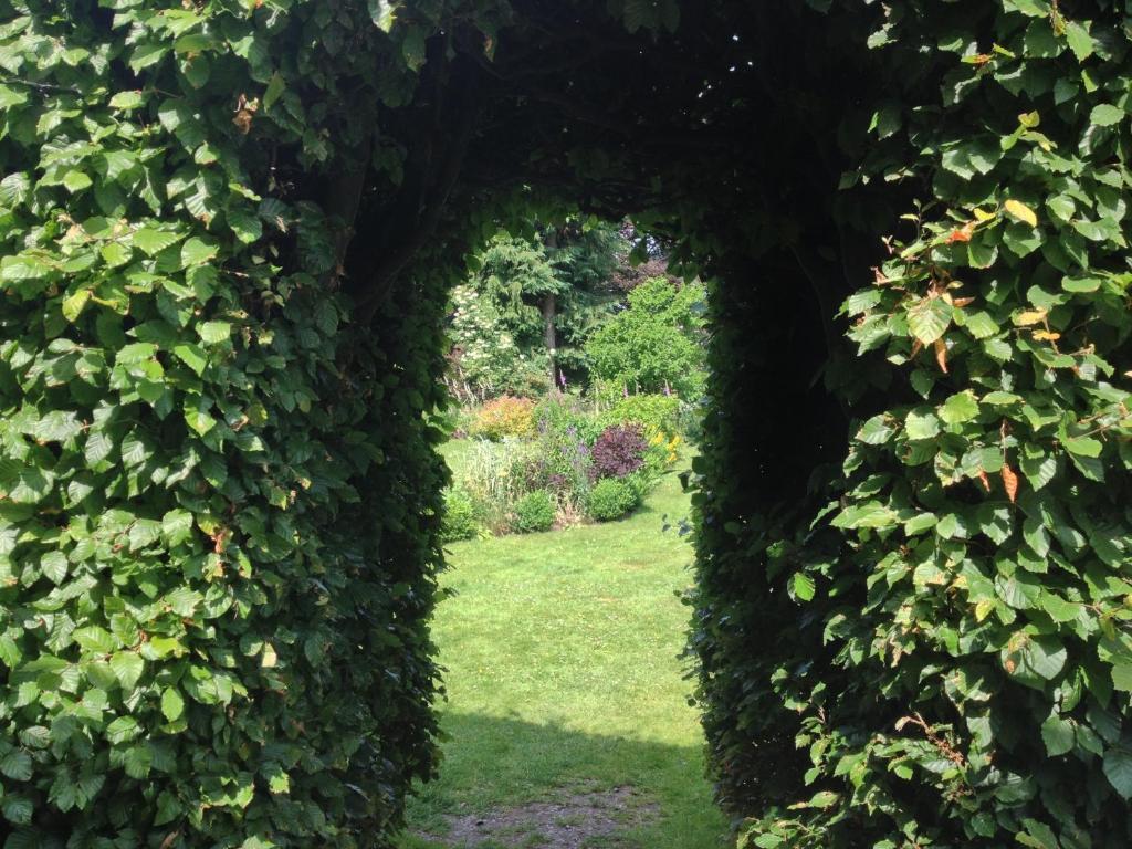Trigony And Garden Closeburn
